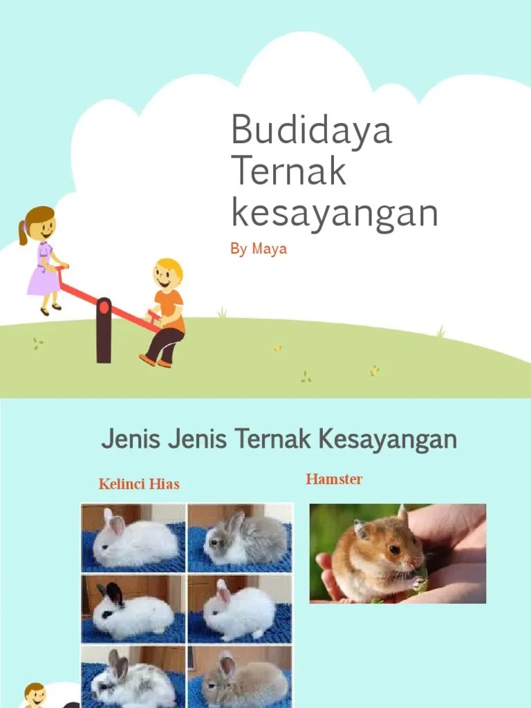 Budidaya Ternak Kesayangan