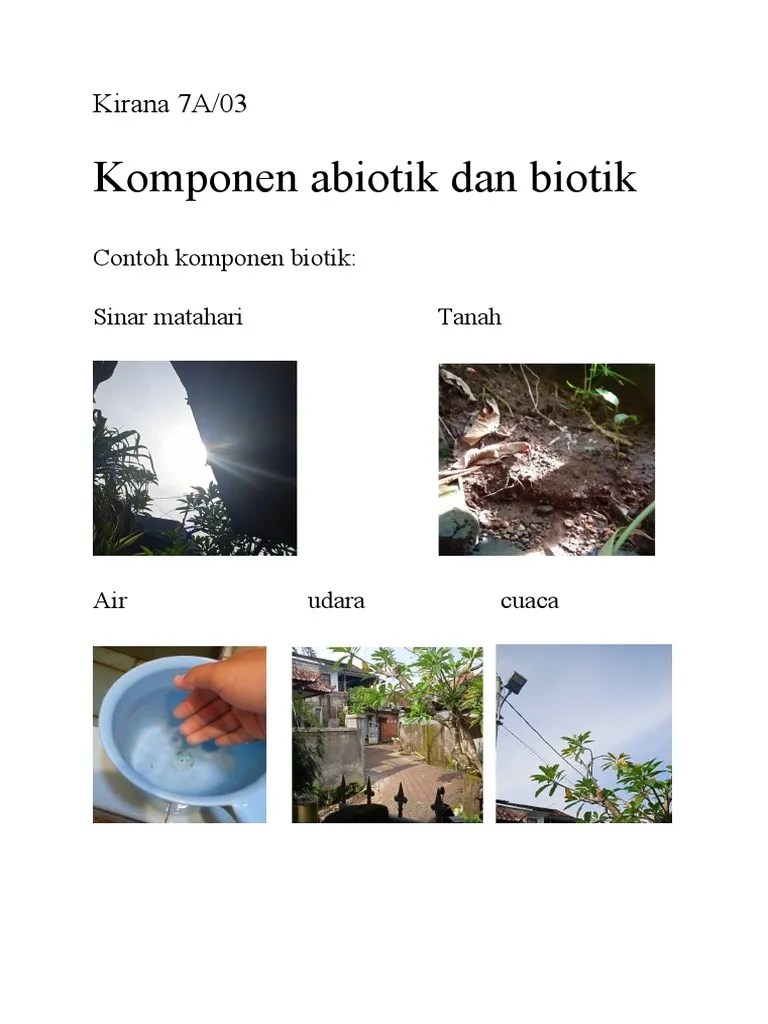 Komponen Abiotik Dan Biotik | PDF