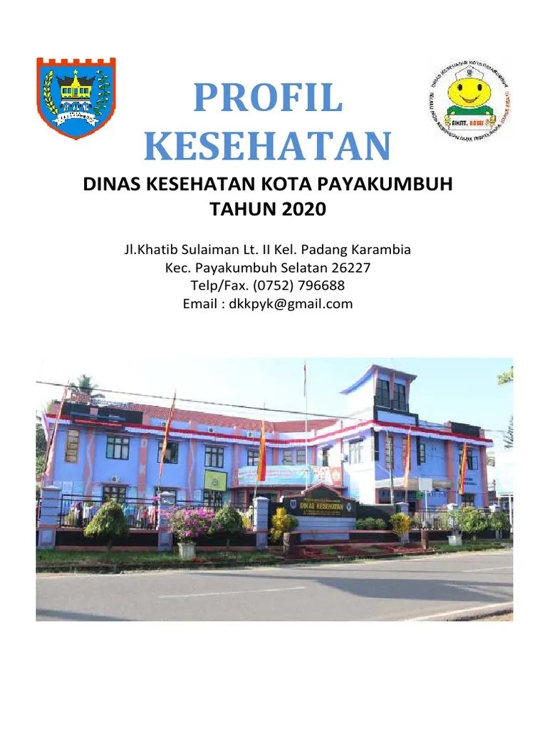Profil Kesehatan Payakumbuh 2020 | PDF