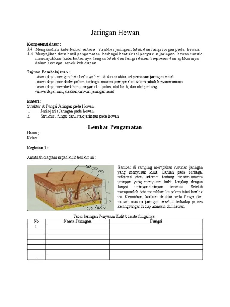 LKS Jaringan Hewan 1 | PDF