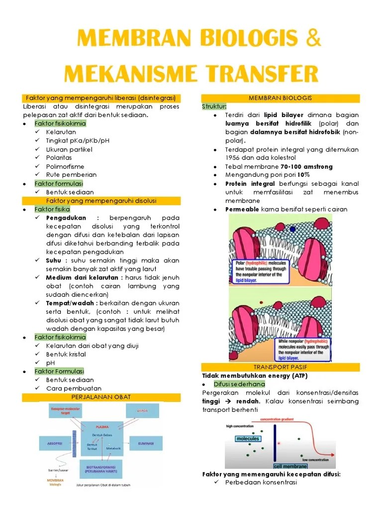 BIOFARMASETIKA | PDF