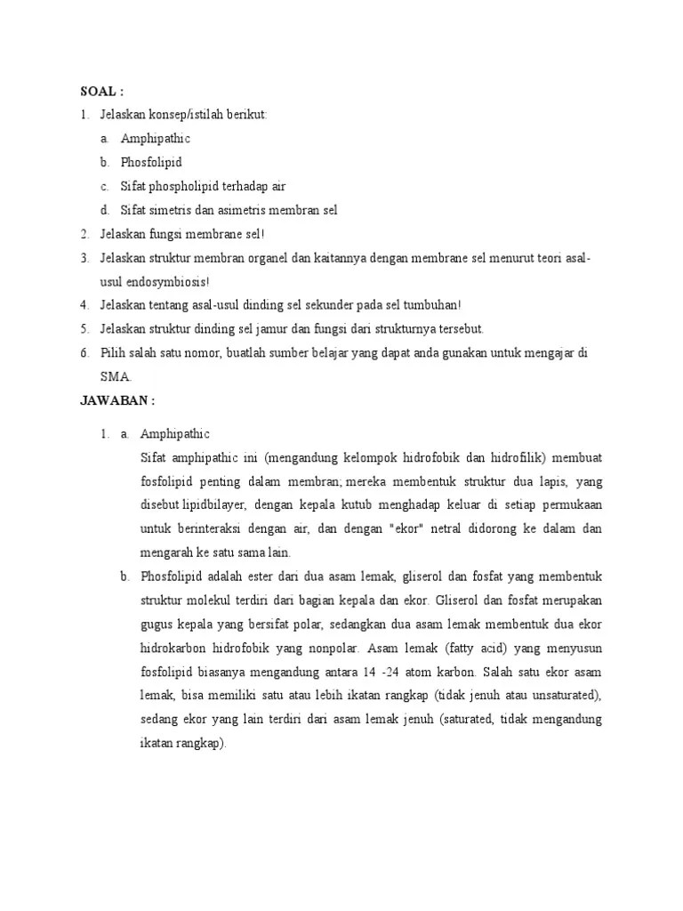 Struktur Dan Fungsi Selaput Sel | PDF