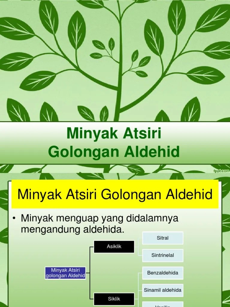 07 - Minyak Atsiri Golongan Aldehid | PDF