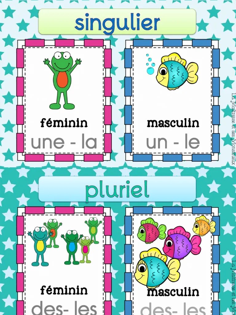 Affiche Singulier Pluriel B | PDF