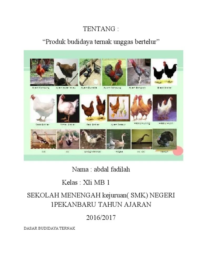 KWH Ternak Unggas Bertelur | PDF