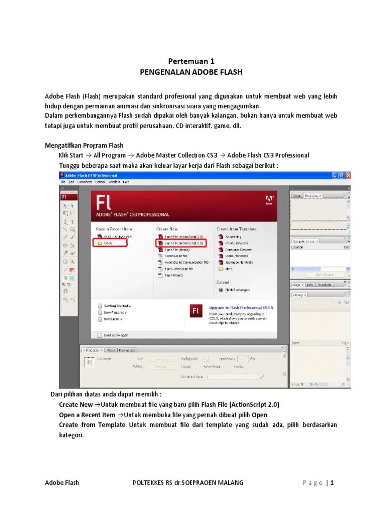 Pelatihan Adobe Flash Player | PDF