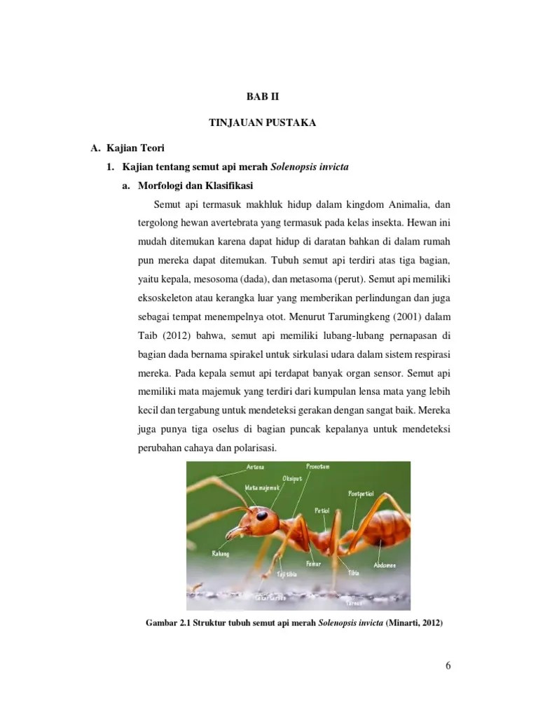 Bab Ii | PDF
