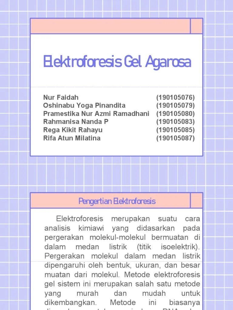 Elektroforesis Gel Agarosa Kel7 | PDF