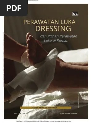 Wound - Care - Dressings - and - Choices - For - Care - Of.6 (2) .En - Id |  PDF