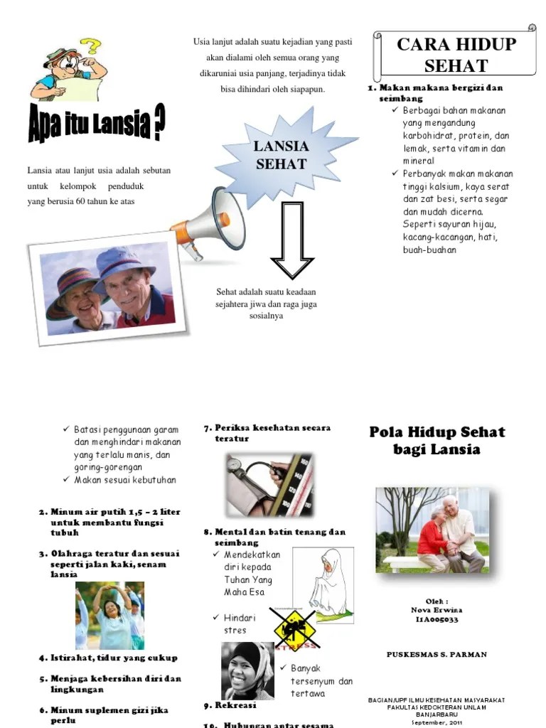 Leaflet Pola Hidup Sehat Lansia | PDF