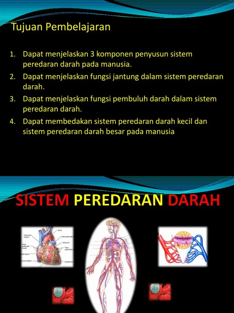 Sistem Peredaran Darah | PDF