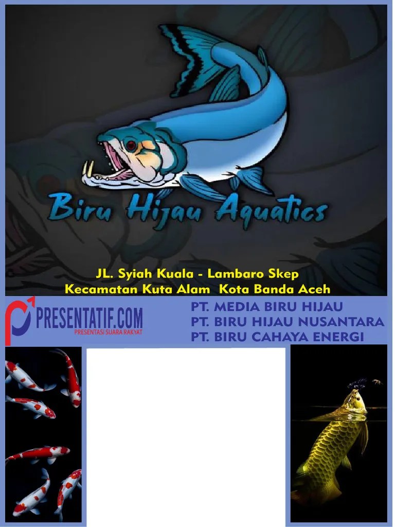 Panduan Menemukan Tempat Ideal untuk Peralatan Akuarium di Pontianak