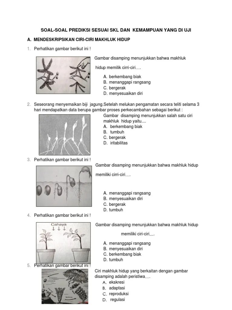 Latihan Lengkap Biologi | PDF