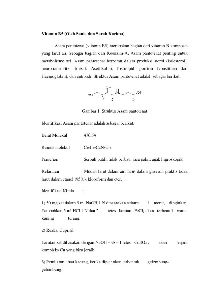 Asam Pantotenat (Makalah) | PDF