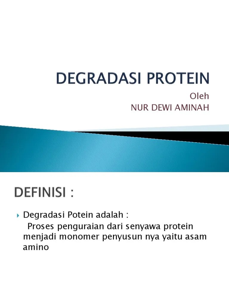 Degradasi Protein | PDF
