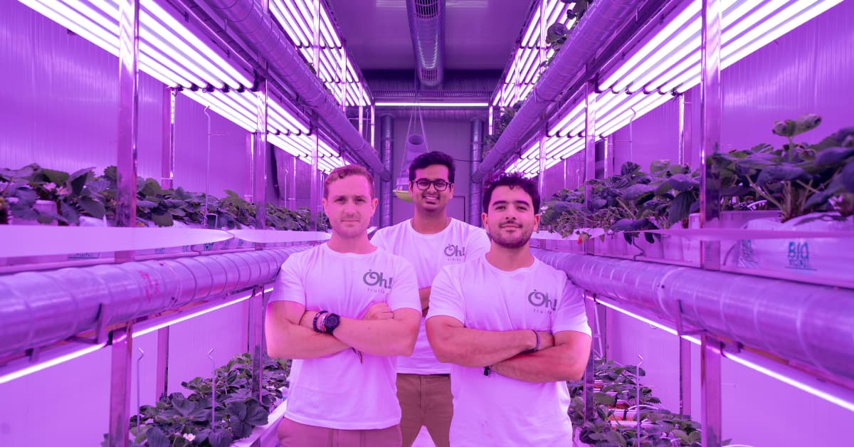 Agritech Startup Fragaria Raises  Mn To Sell Fresh Fruits