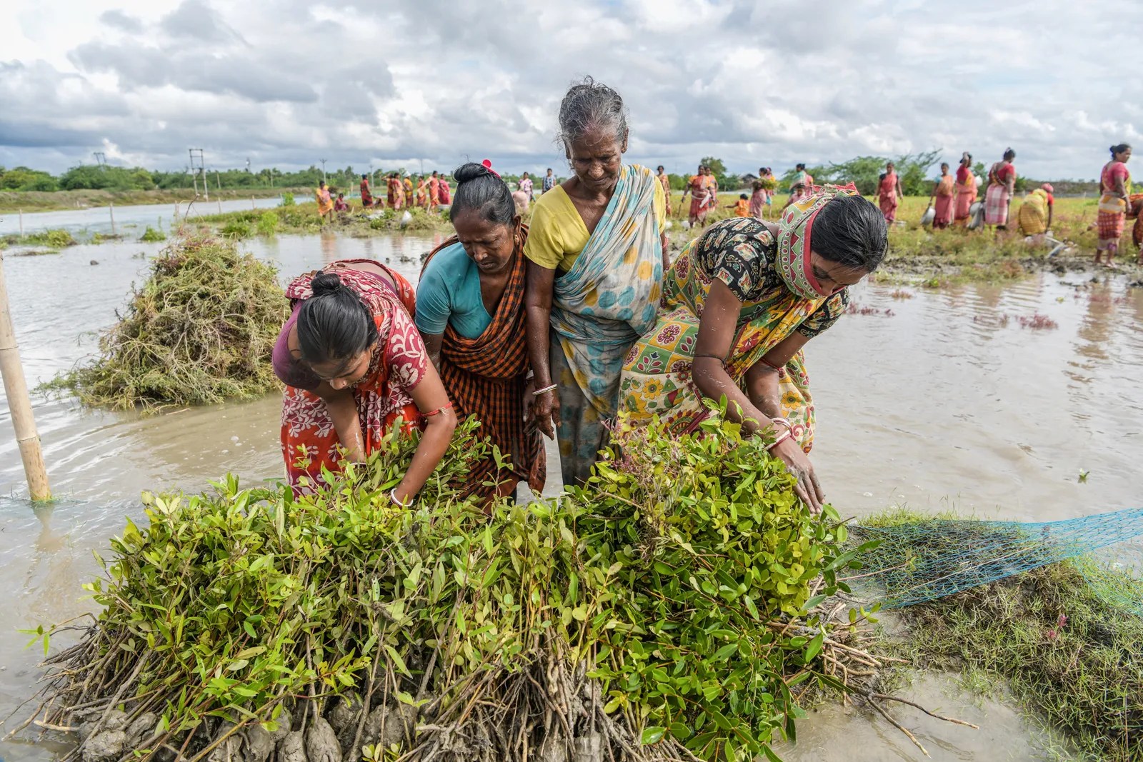 সামাজিক কাজের গুরুত্ব: সমাজ বদলের হাতিয়ার