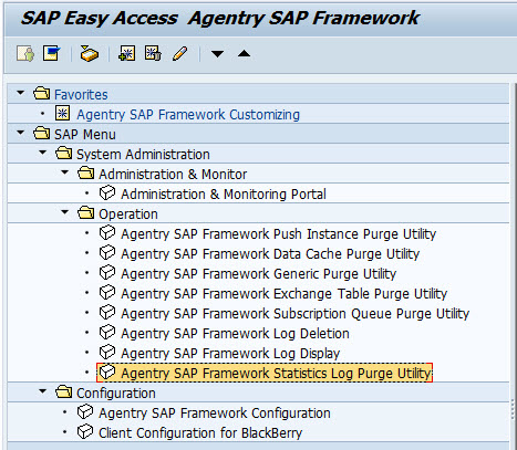 Accessing Administrative Functions in SAP