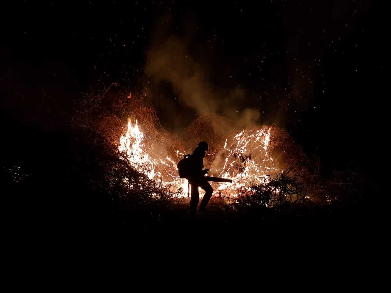 Área queimada no Pantanal Mato-grossense dobra de tamanho em um dia