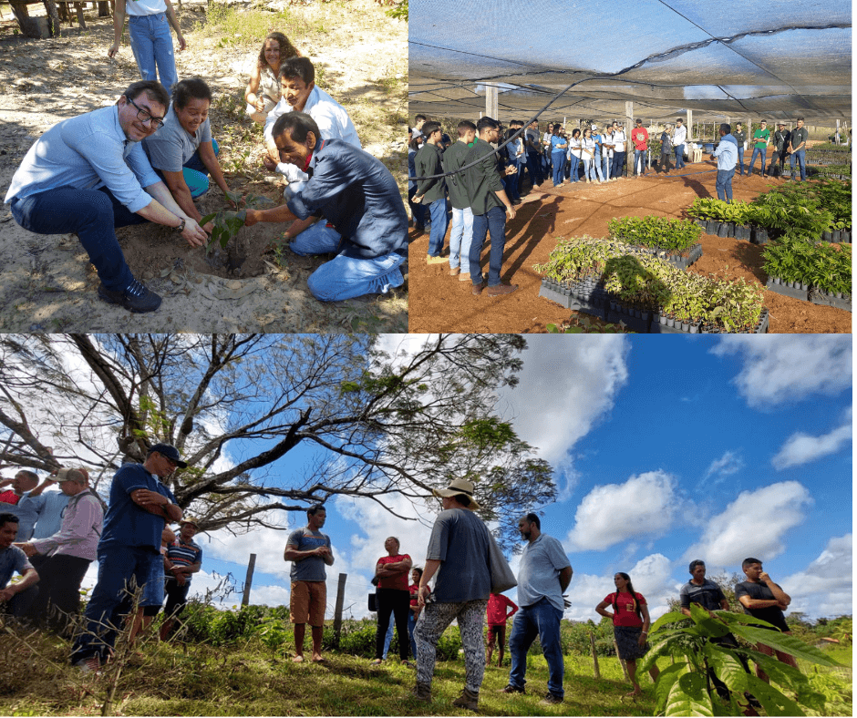 IPAM promove ações de restauro em Mato Grosso e no Pará