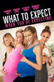 Kirk Jones - What to Expect When You're Expecting