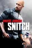 Ric Roman Waugh - Snitch