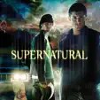 Supernatural - Scarecrow
