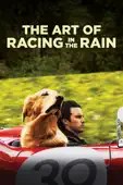 Simon Curtis - The Art of Racing In the Rain