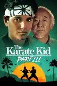 John G. Avildsen - The Karate Kid: Part III