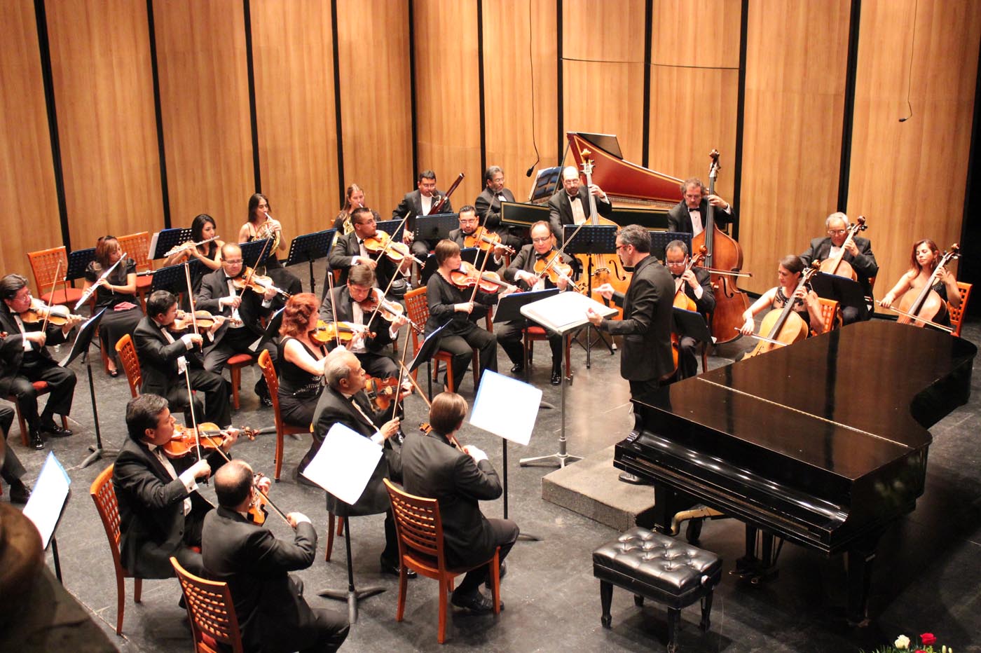 Las Bellas Artes La Musica