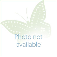 Ciao Governante | 16 Anni, Cerco Lavoro 2 Mesi, Buon Addetto Alle Pulizie 194_x_194_jpg