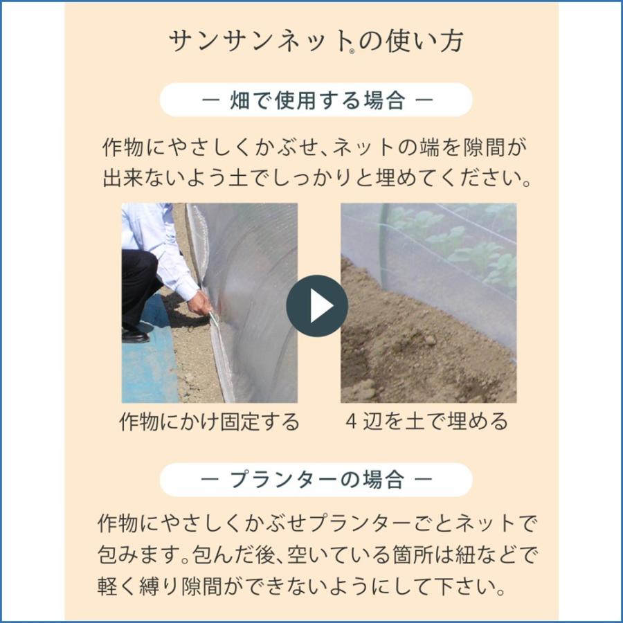 メーカーより直送 サンサンネットソフライト SL3200 0.6mm目合 210cm幅×長さ2m 日本ワイドクロス 防虫ネット ハモグリバエ アザミウマ ビニールハウス : 農業資材ホンポ - 通販 - Yahoo!ショッピング サンサン ネット 価格