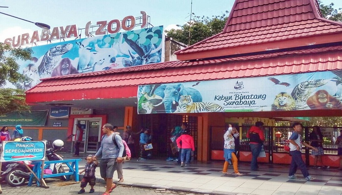 Bersafari di Kebun Binatang Surabaya yang Terbesar di Asia Tenggara |  jadiberita.com