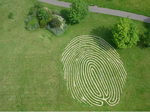 Land Art Jihyunchoi