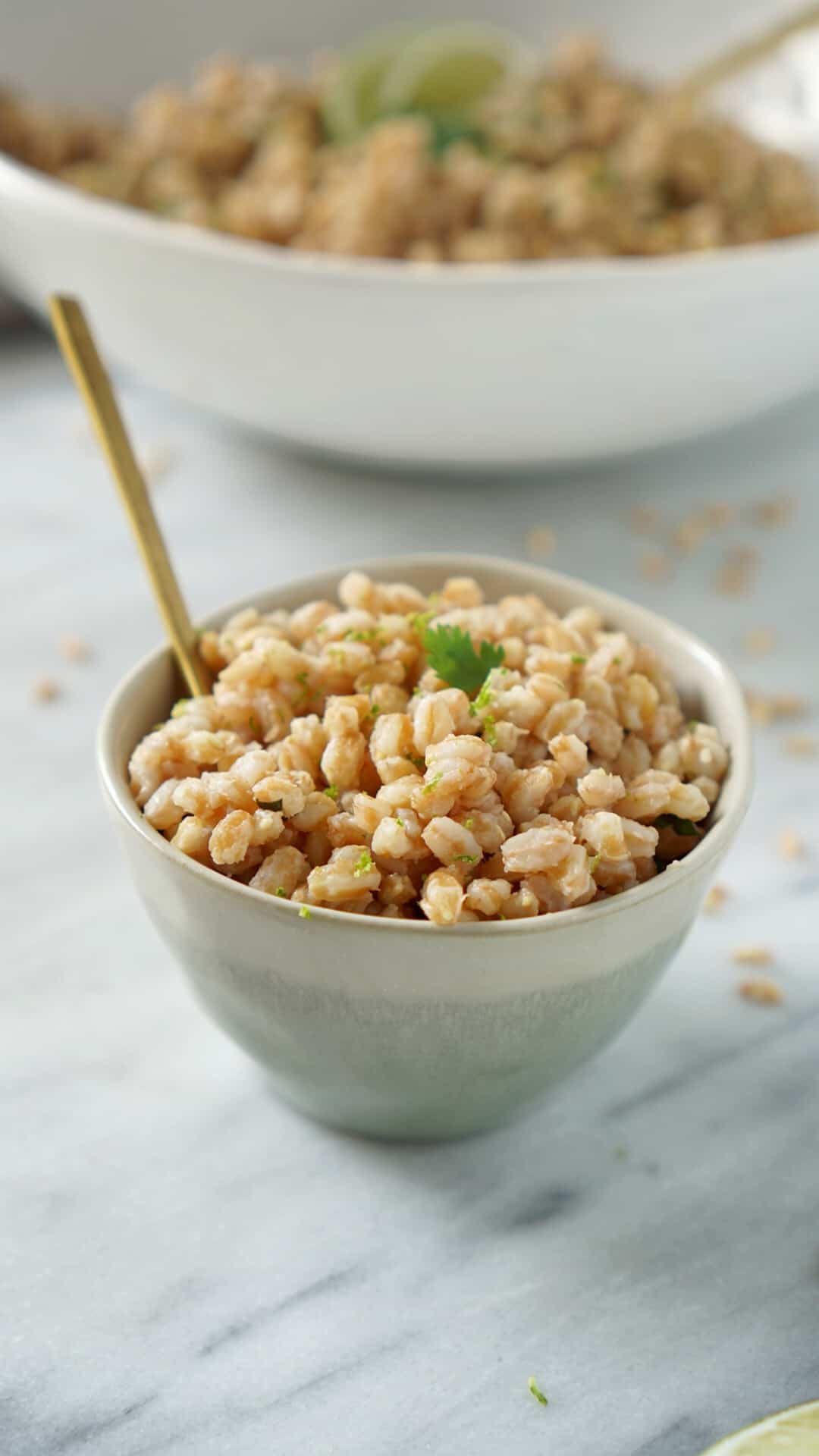 Farro in a small bowl