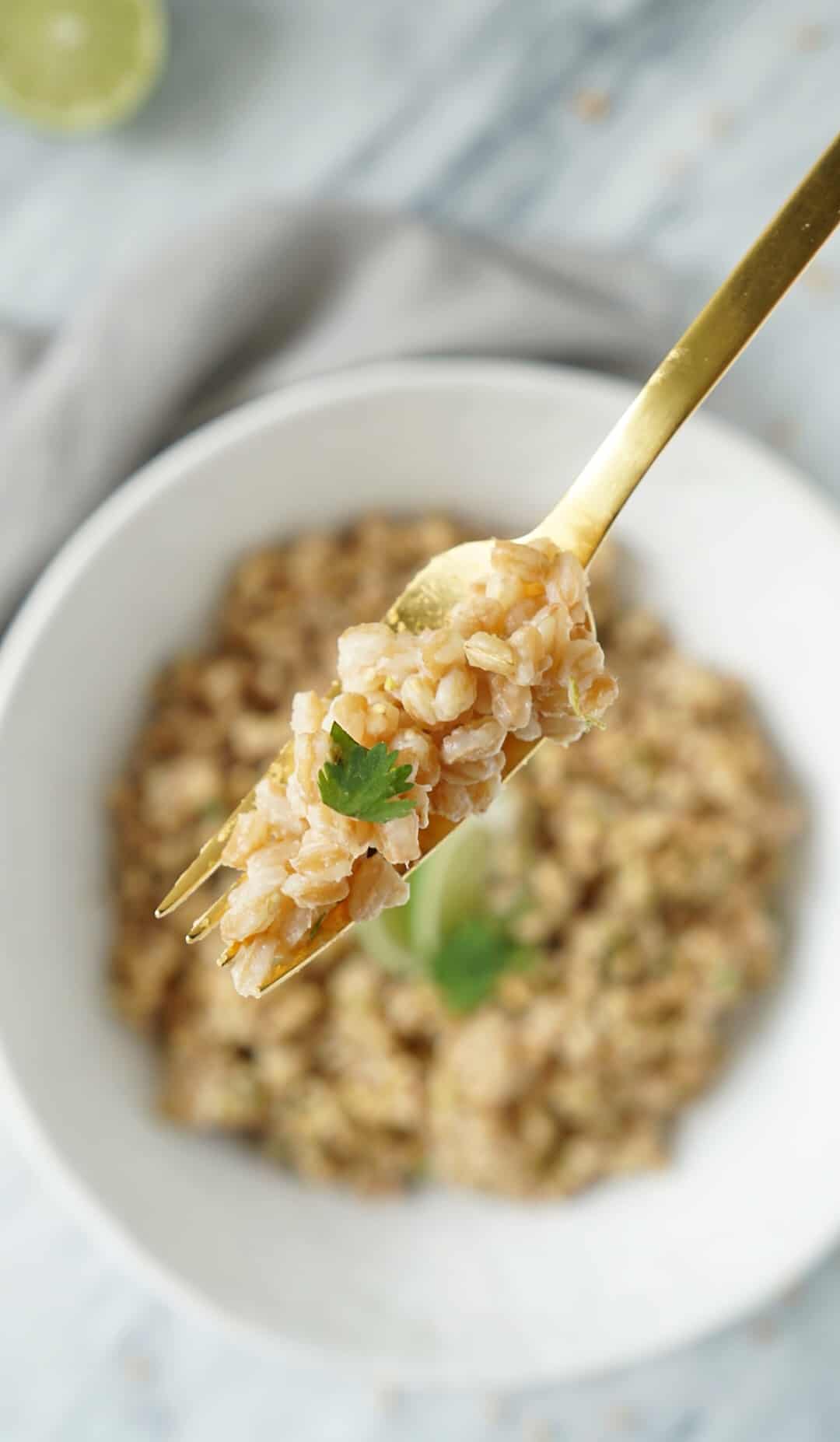 Cilantro lime farro on a fork