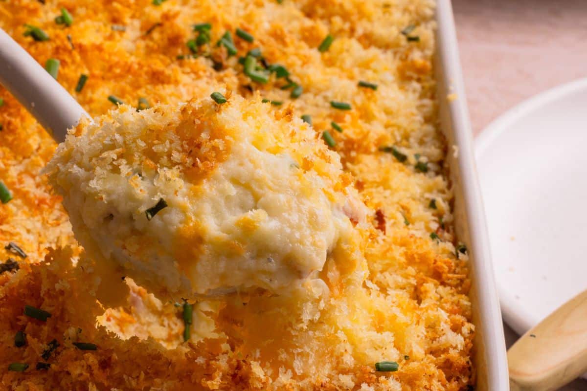 A close up photo showing a scoop of mashed potato casserole topped with cheese and panko.