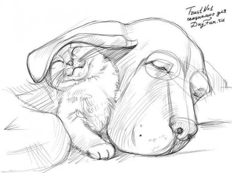 как нарисовать дружбу поэтапно