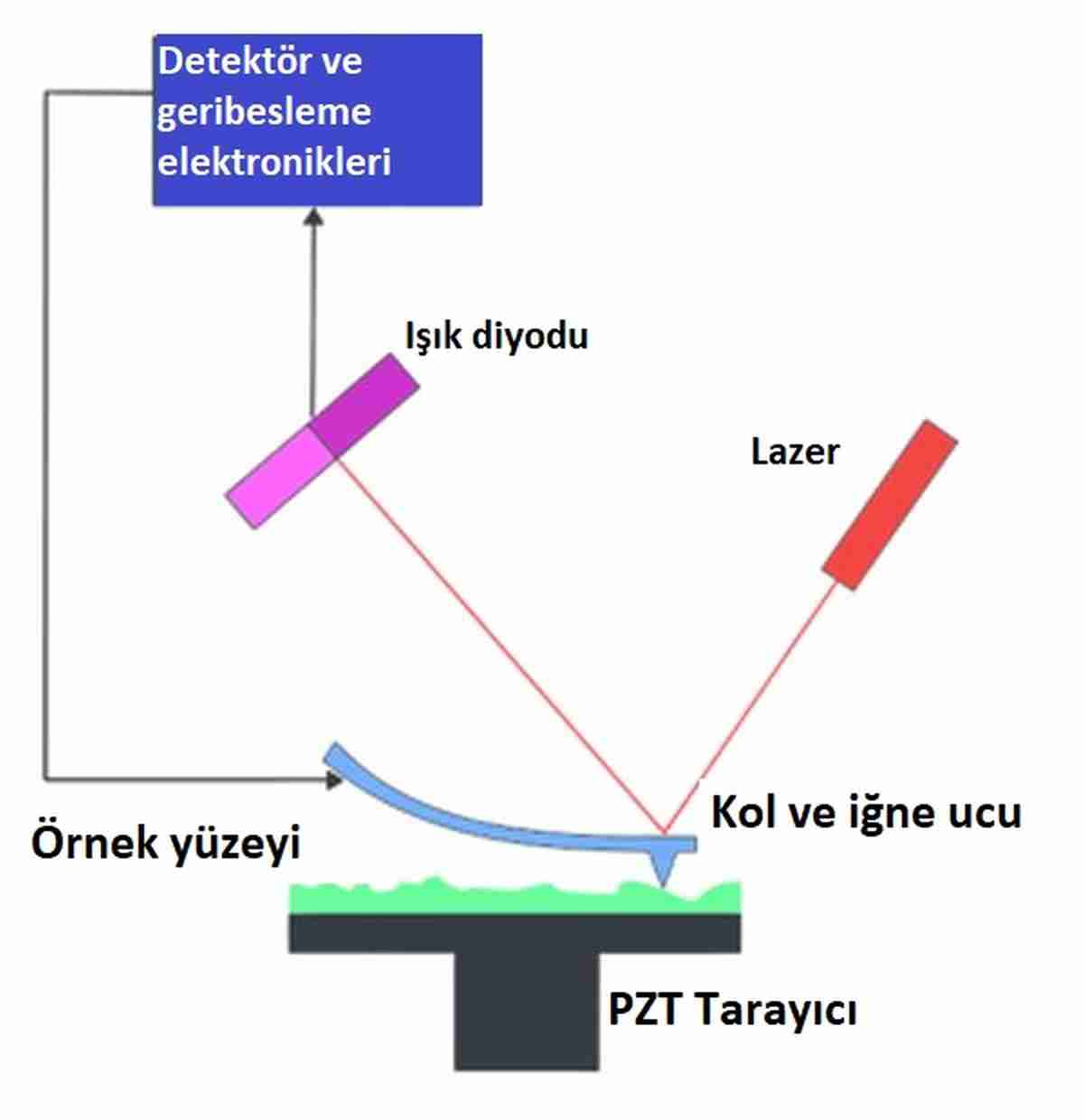 Atomlari Tek Tek Goren Kuantum Mikroskop Kozan Demircan
