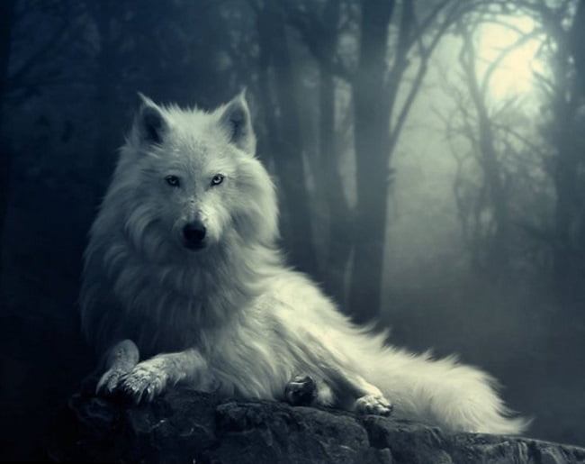 красивые картинки на аву рисованные