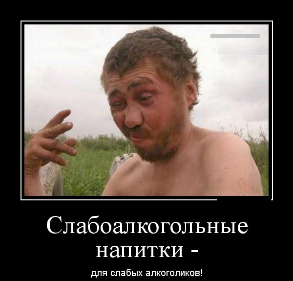 фото белочки для алкашей