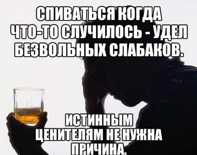 фото белочки для алкашей