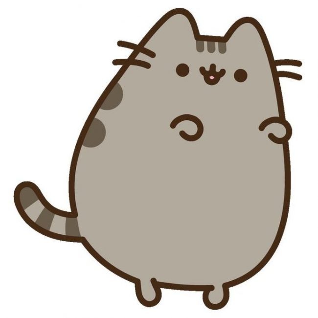 как нарисовать толстого кота пушина