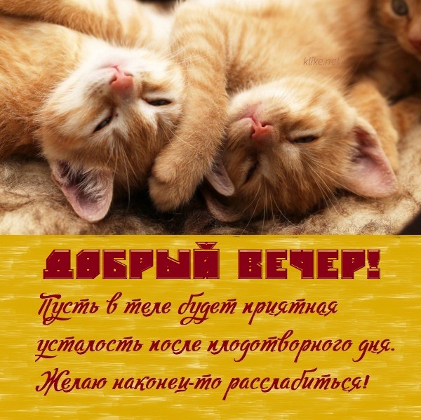 вечер прикольные картинки рисованные