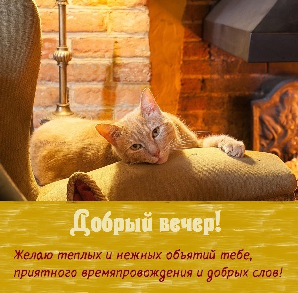 вечер прикольные картинки рисованные