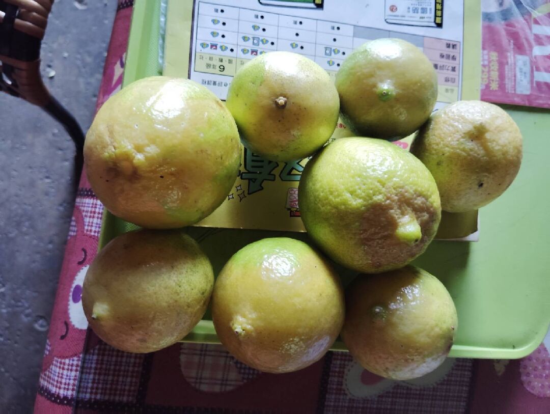 檸檬水傷- 農業知識入口網