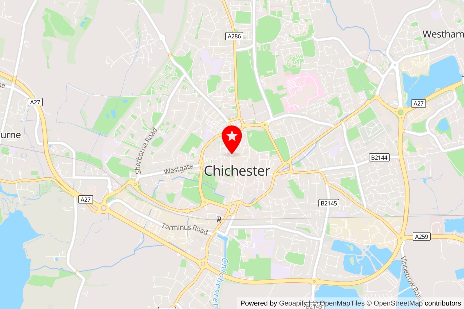 5 Best Pet Grooming Services in Chichester for Your Furry Friends