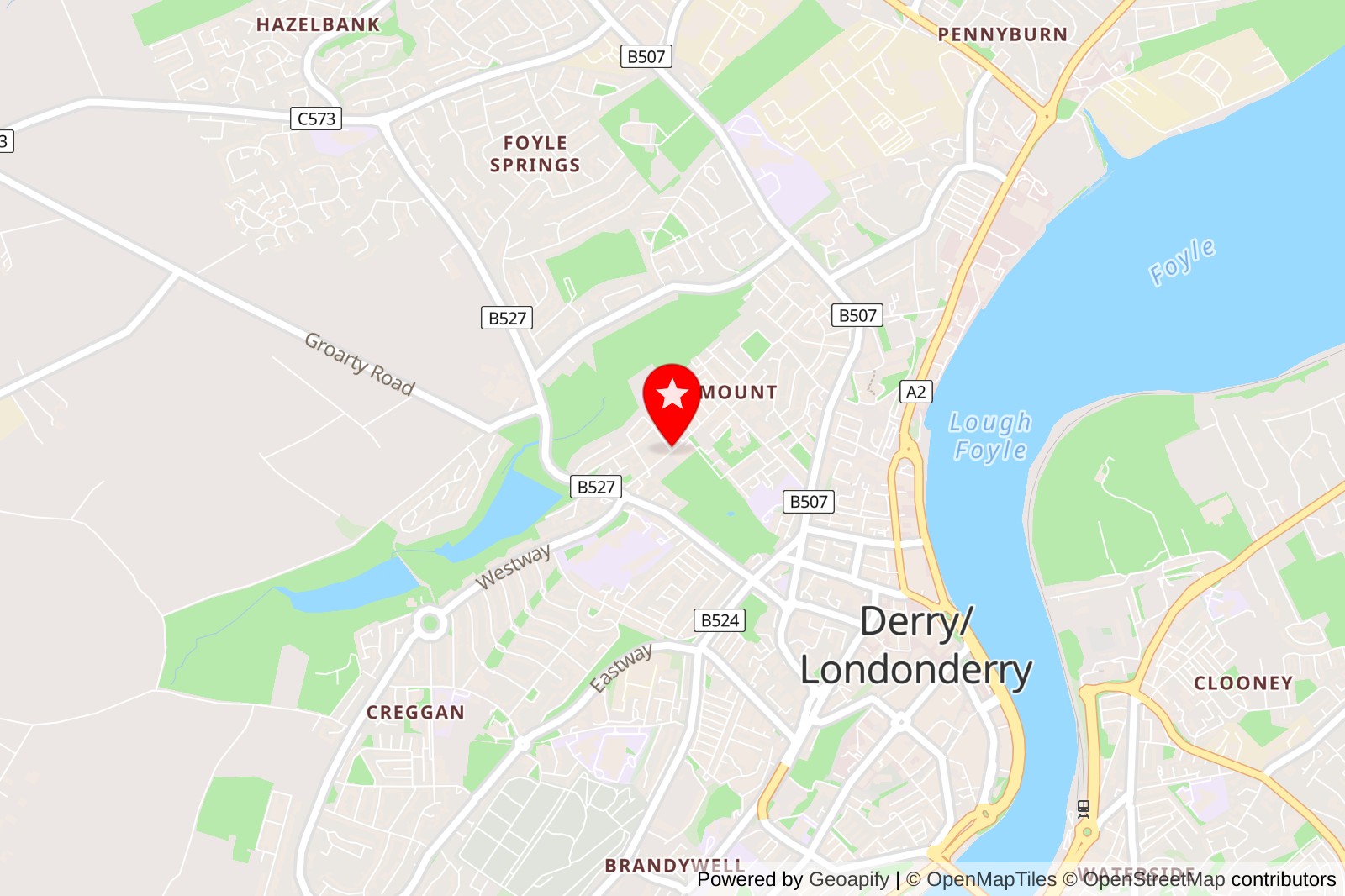 5 Best Pet Grooming Services in Londonderry for Your Furry Friends