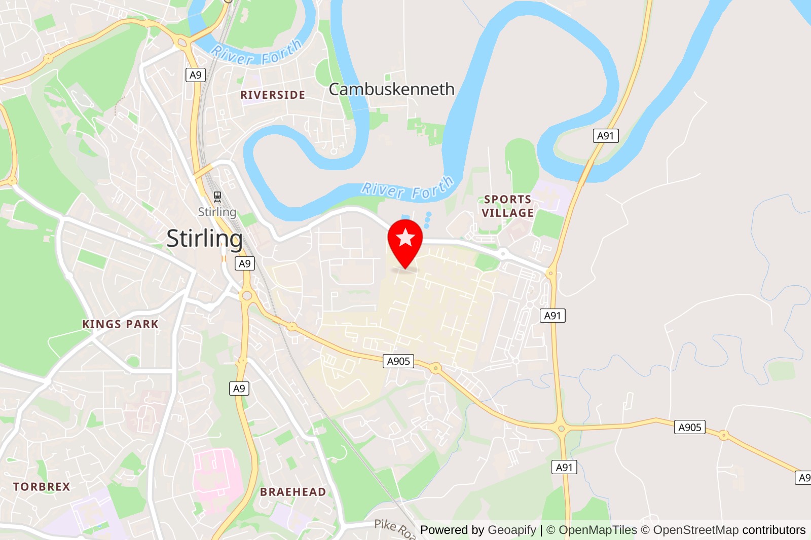 5 Best Cat Grooming Services in Stirling for a Purr-fectly Pampered Pet
