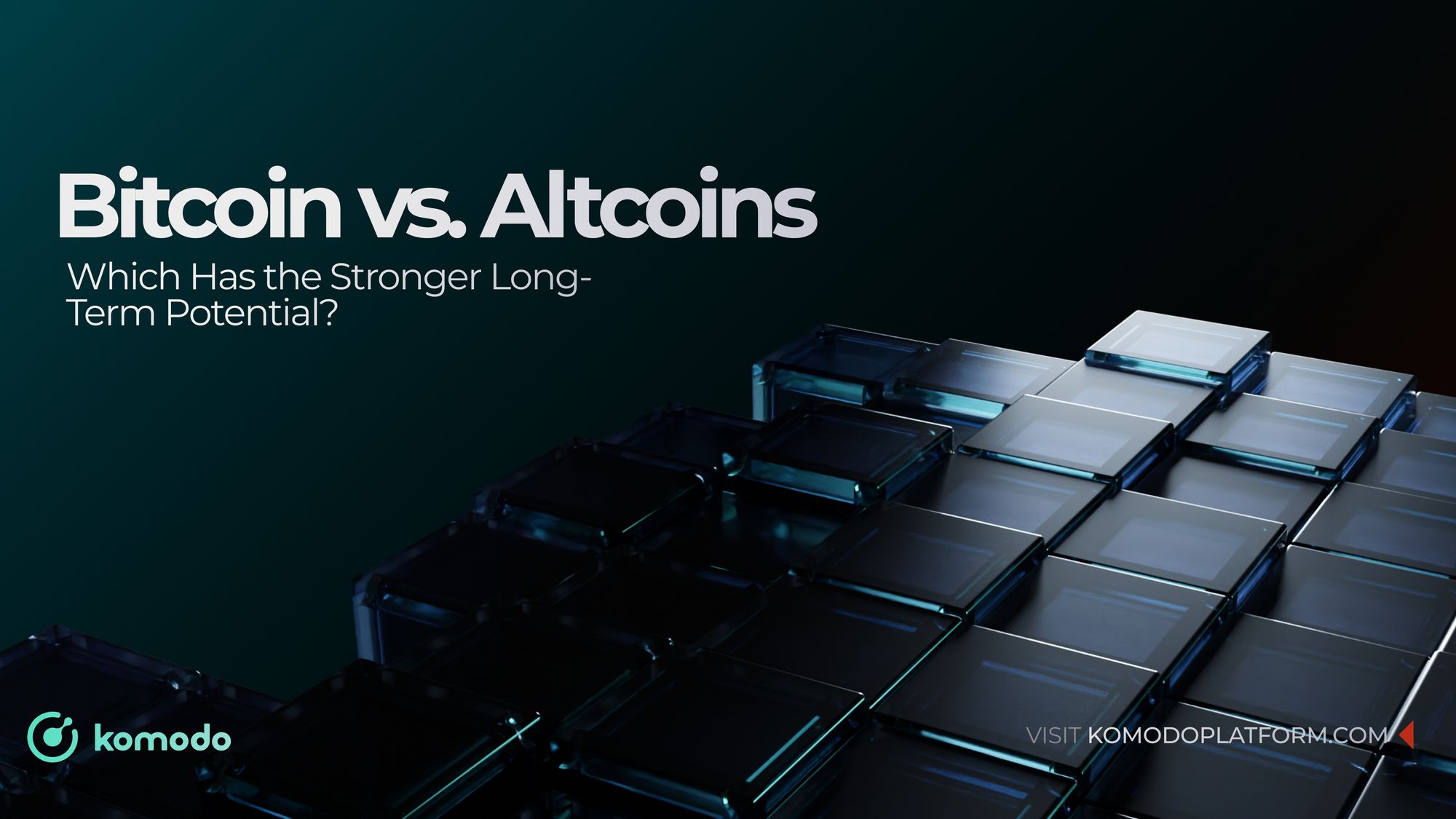 Bitcoin vs Altcoins: Long-Term Potential Comparison